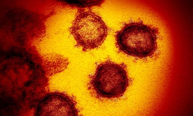 Coronavirus